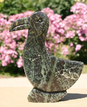 Lovely Dove (Njiva Bird)