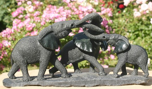 Elephant Family Gathering