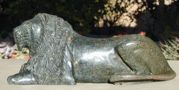 Suprised Resting Lion