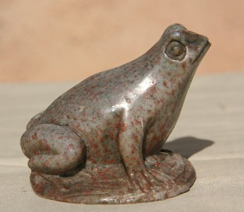 Very Cute Little Frog