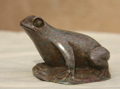 A Serious Looking Little Frog