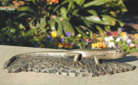 Pretty Little Lizard