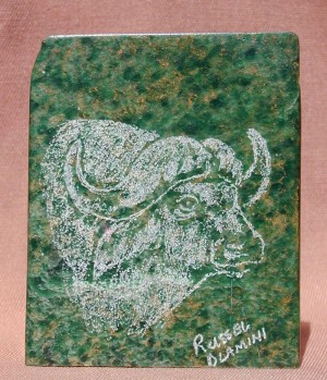 Day Dreaming Buffalo