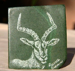 Impala with an Attitude