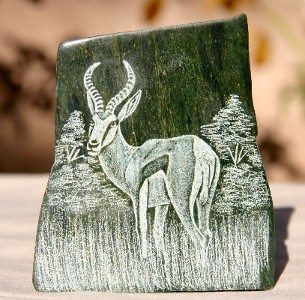 A Kindly Looking Fellow