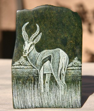 Springbok with an Attitude