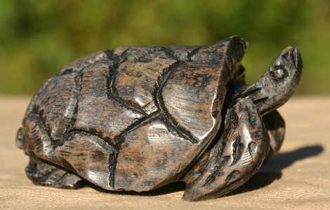 Sniffing Out a Good Meal